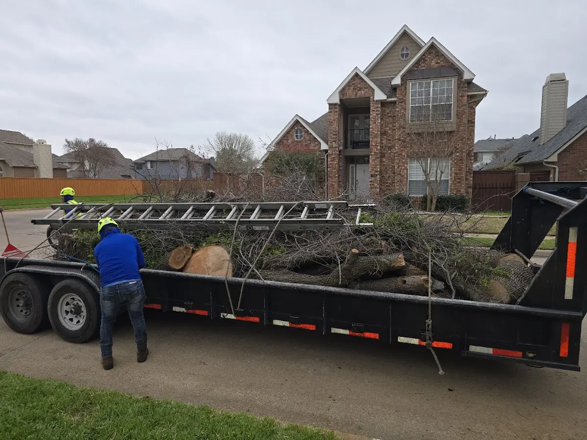 Expert Tree Fertilization with proper safety equipment in St Columbans